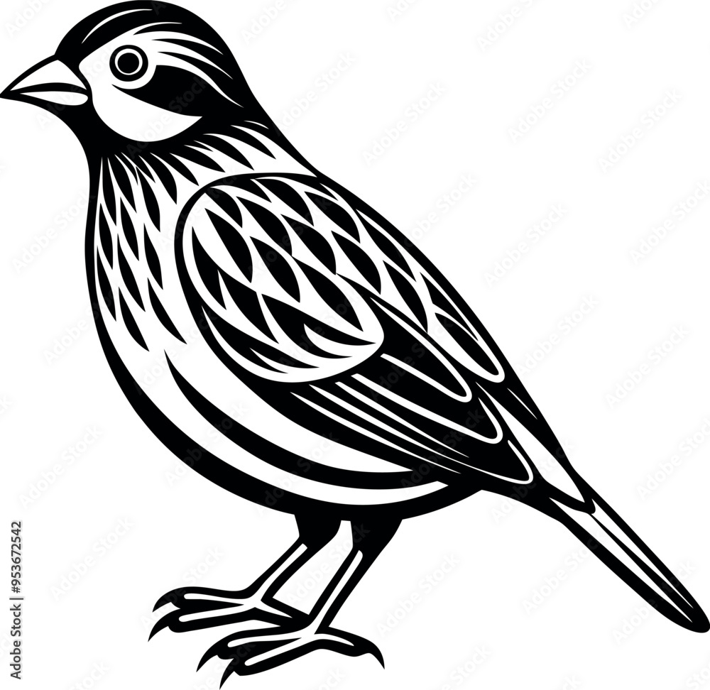 Fototapeta premium quelea bird vector with white background