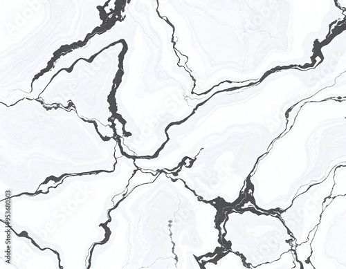 The image displays a close-up view of a surface with a marble-like pattern. It features a predominantly white background with intricate, dark gray veins running through it. The v