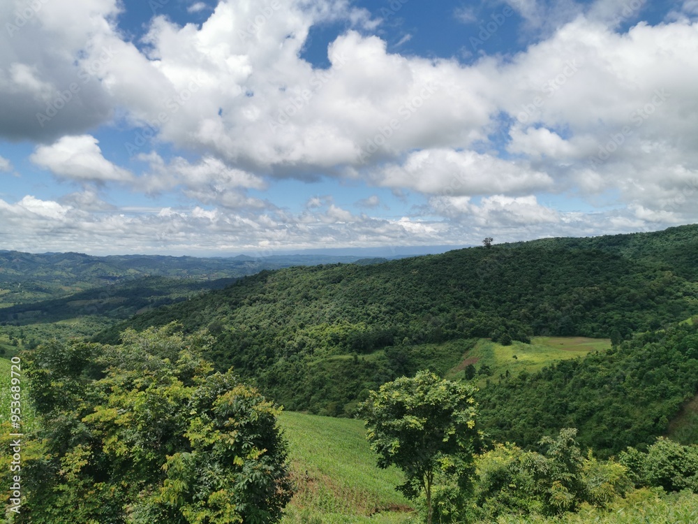 Fototapeta premium Coffee, Sky Road, Mountain View, Thailand