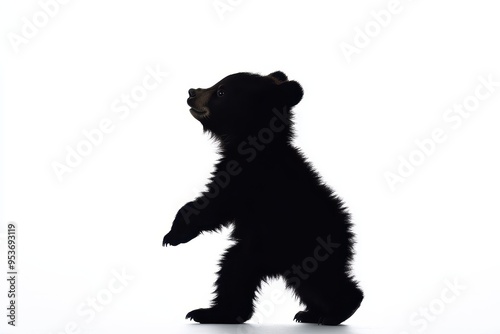 A silhouette of a bear cub standing on its hind legs against a white background. photo