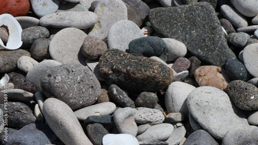 pebbles on the beach. round stones and shells on the seashore pebbles on the beach. round stones and shells on the seashore