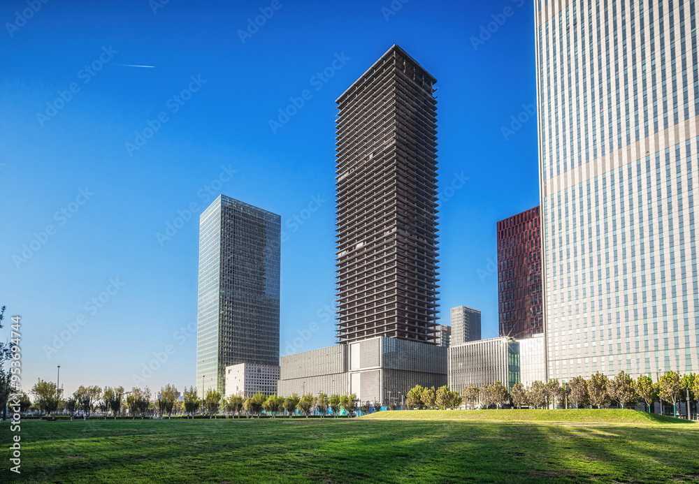 Fototapeta premium Contemporary Skyscrapers Behind Lush Trees in Urban Park