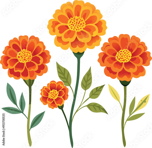 Marigold Flower set