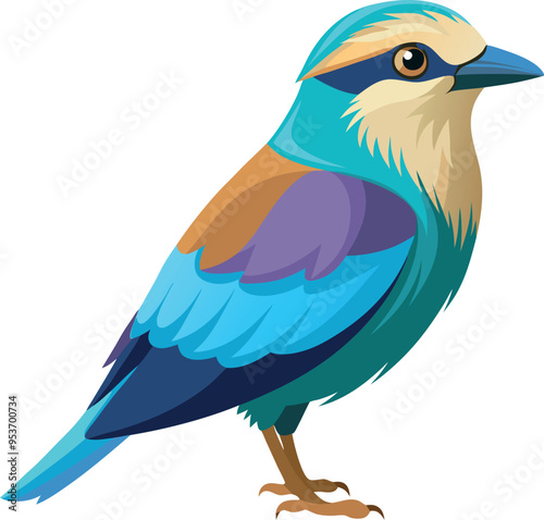 European roller bird with white background