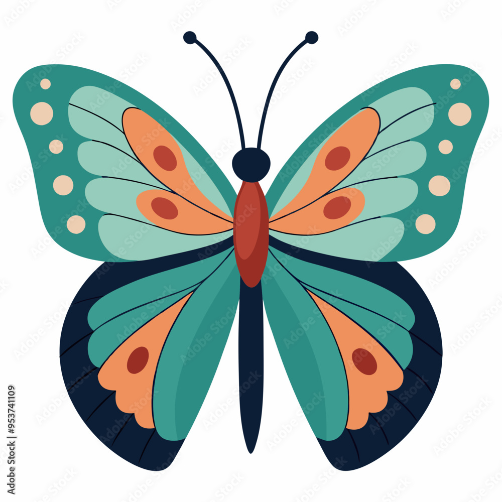butterfly on white background butterfly on white background
