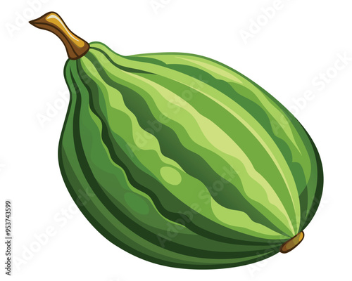 ash gourd vector illustration on white background