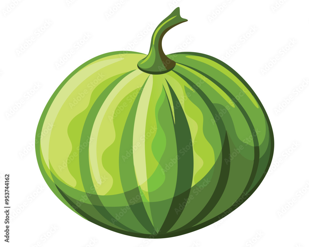 ash gourd vector illustration on white background ash gourd vector illustration on white background