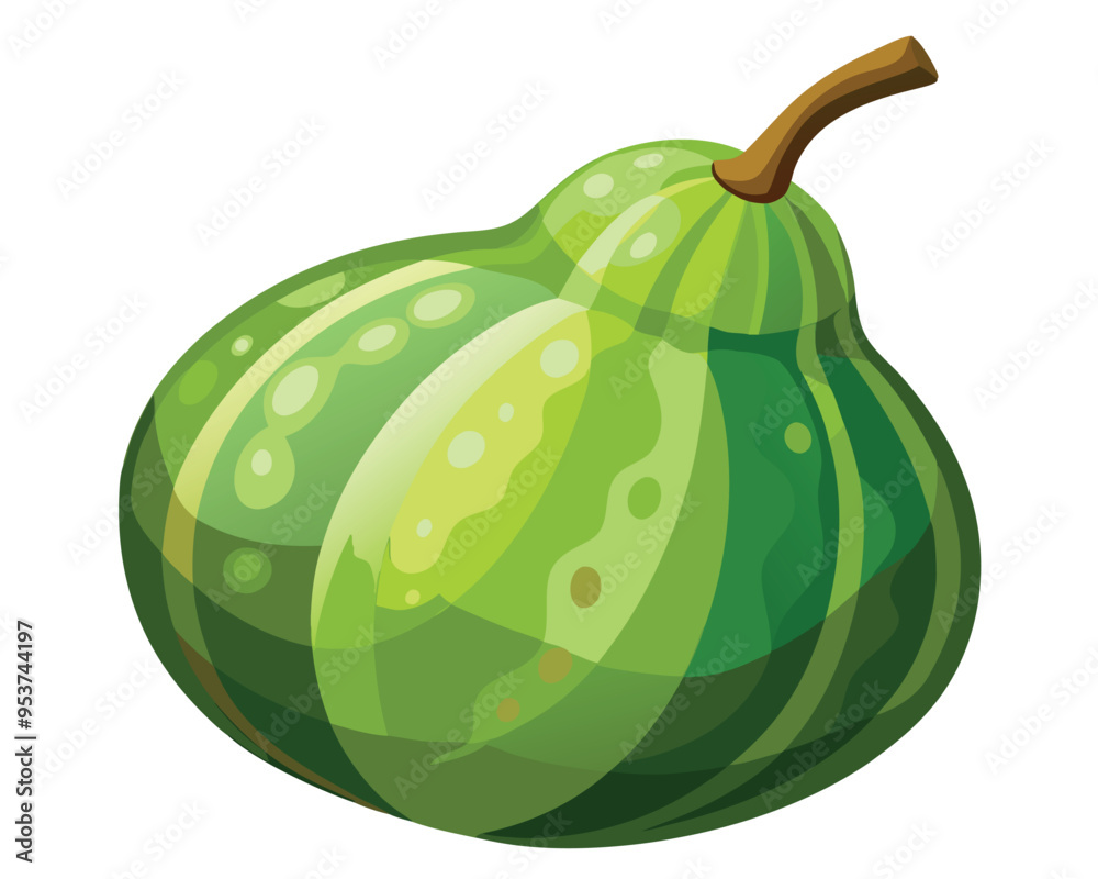 ash gourd vector illustration on white background ash gourd vector illustration on white background