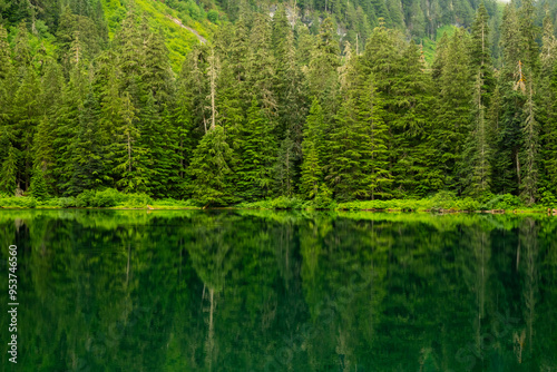 Pines Reflect In The Still Waters Of Green Lake