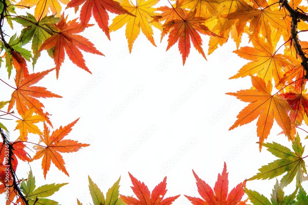 Autumn Maple Leaves Flat Lay White Background created with Generative AI