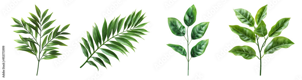 Fototapeta premium Four Green Sprigs Illustration