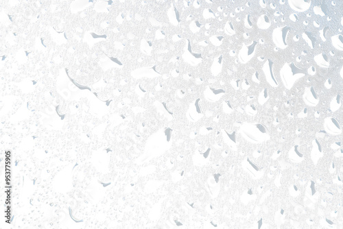 Wet Rain Droplets - High-Resolution Transparent PNG, Drops of Water, Wet Rain Splash - Isolated Transparent Background 