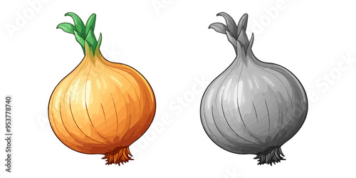 a yellow onion on a white background and grey vector image