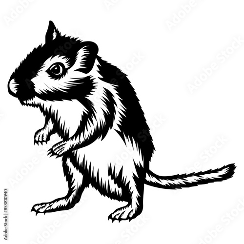 Gerbil