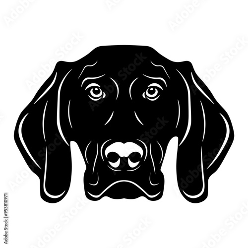 German Shorthaired Pointer