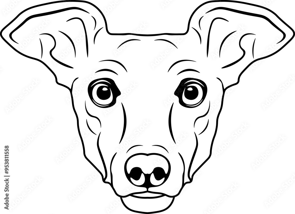 custom made wallpaper toronto digitalGreyhound