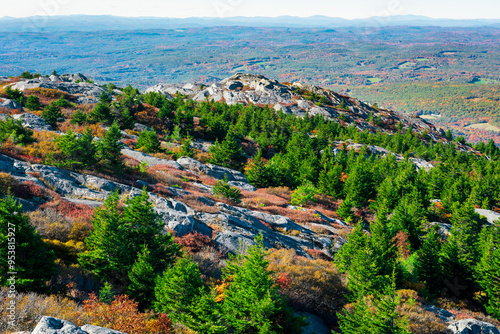 Pine trees on the hills of mount Monadnock