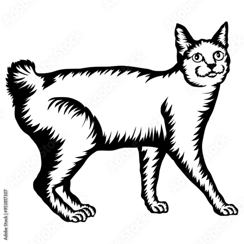 Japanese Bobtail Cat