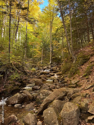 autumn in the mountains of new england