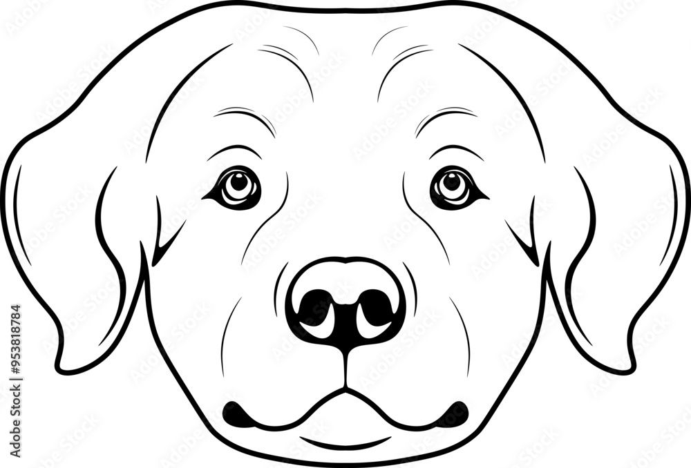 Kuvasz Kuvasz