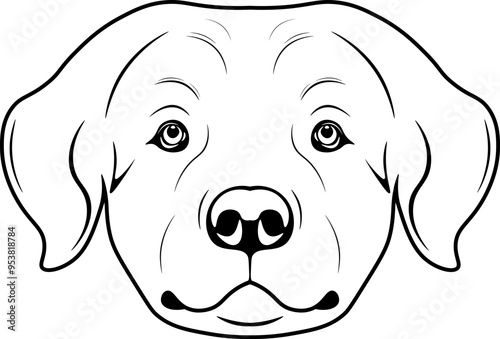 Kuvasz