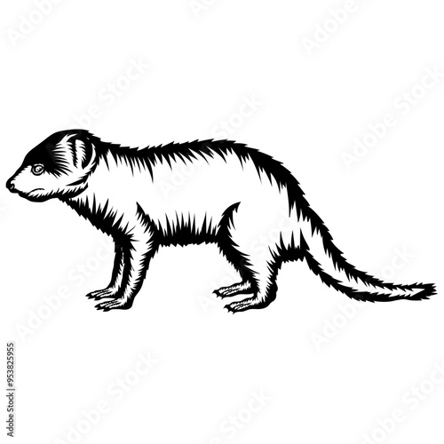 Mongoose