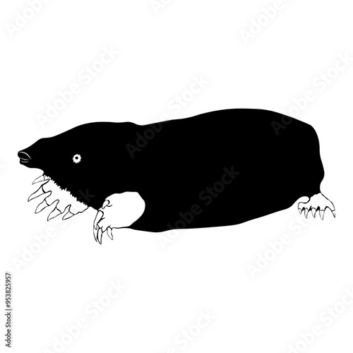Mole