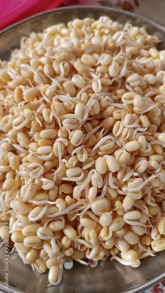 A bowl of sprouts with white and yellow seeds A bowl of sprouts with white and yellow seeds