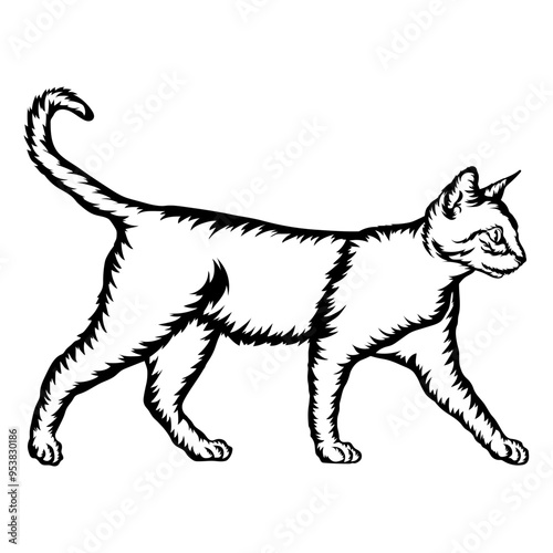 Ocicat Cat