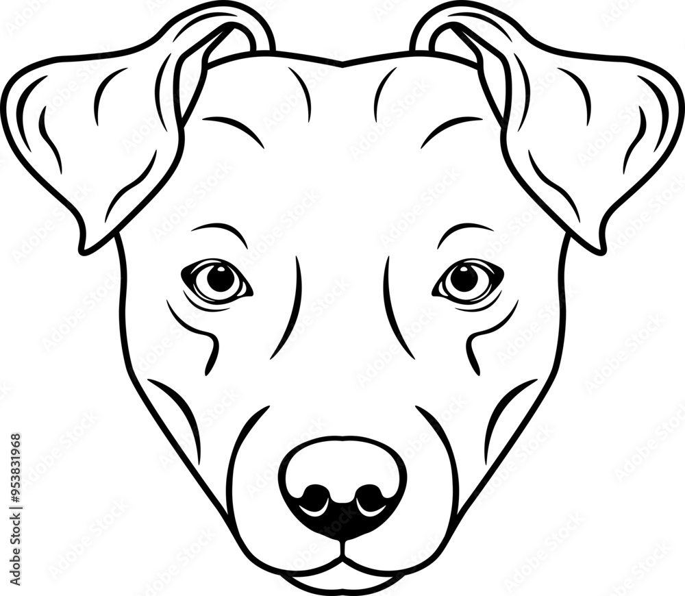 Patterdale Terrier Patterdale Terrier