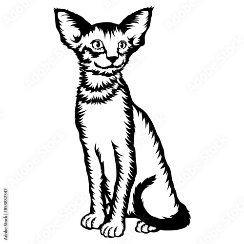 Oriental Cat