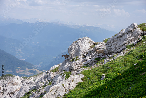 mountain landscape in the mountains