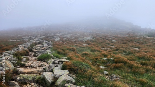 Trail Disappearing into Fog on Ridgeline, White Mountains, New Hampshire
