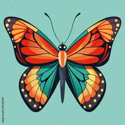 butterfly illustration