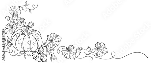 Pumpkin line art style illustration, vector eps
