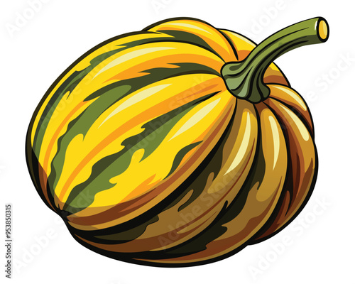 Delicata squash vector illustration on white background