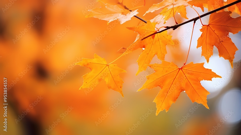 Autumn leaves on a branch with a blurred background in warm, vibrant colors.