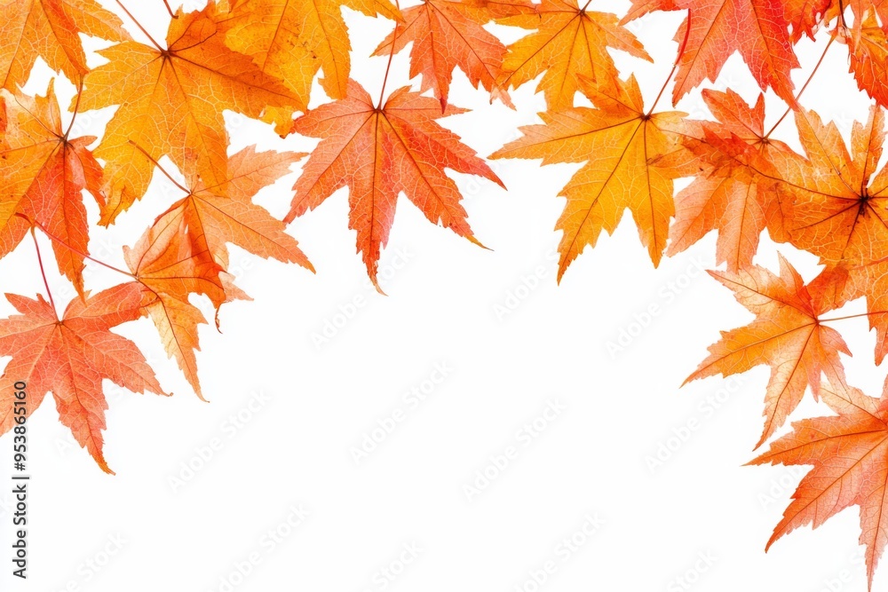 Autumn Maple Leaves Flat Lay White Background created with Generative AI Autumn Maple Leaves Flat Lay White Background created with Generative AI