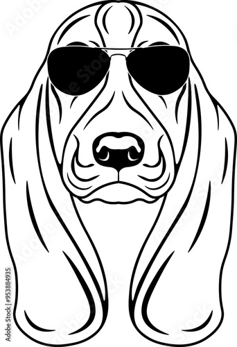 Basset Hound In Sunglasses photo