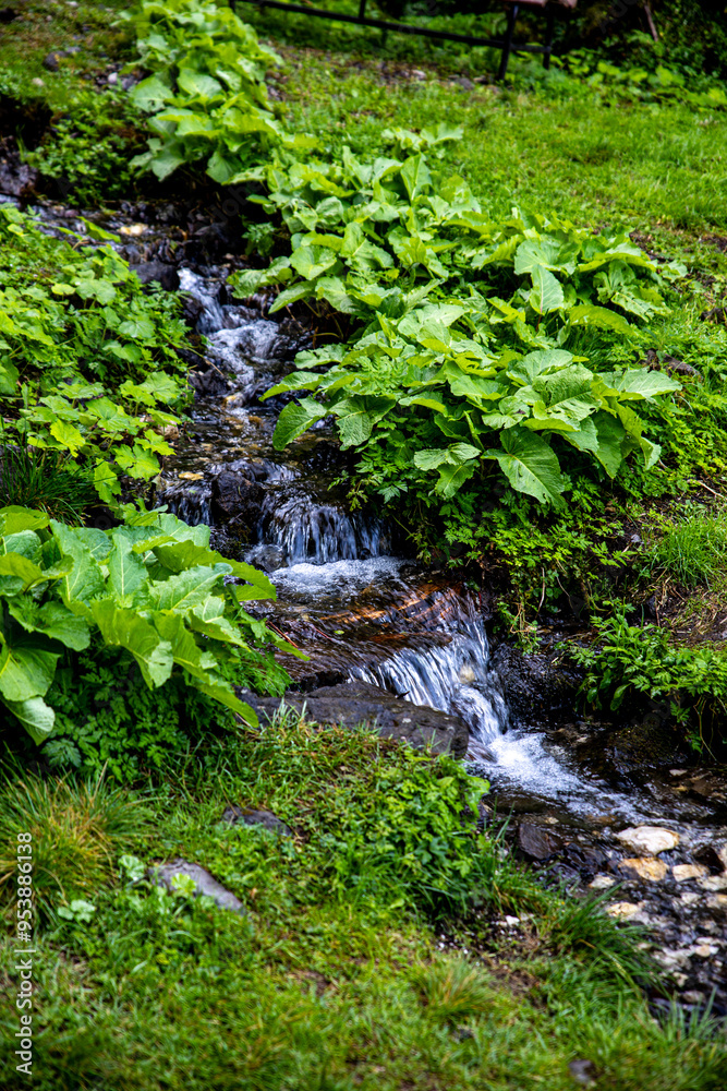 A serene stream flows through lush greenery in a tranquil setting, showcasing nature's beauty on a calm day