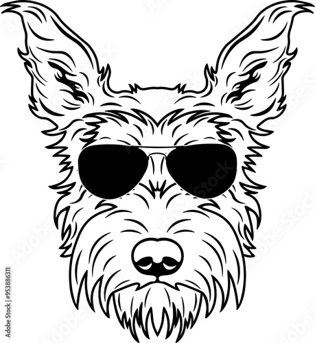 Berger Picard In Sunglasses