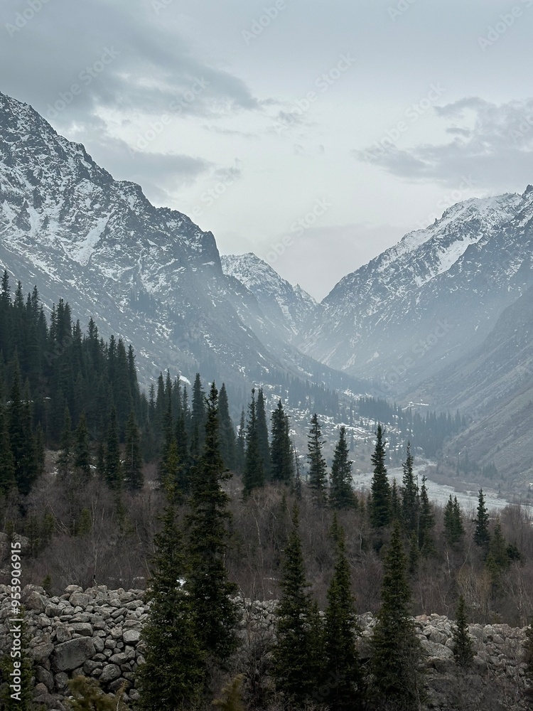 Fototapeta premium Snow covered mountains