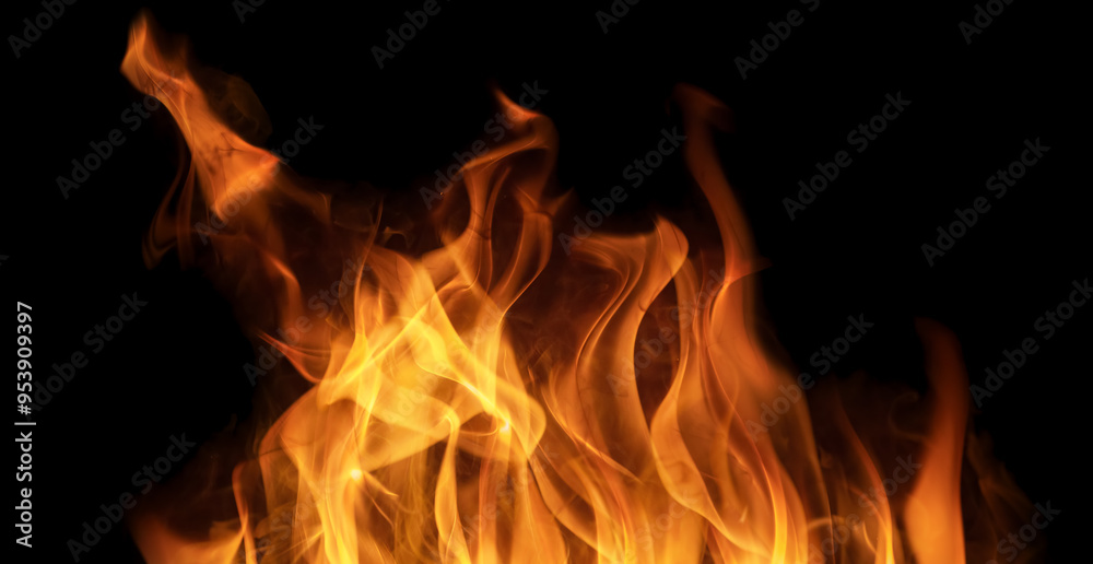 orange hot flame tips isolated on black orange hot flame tips isolated on black