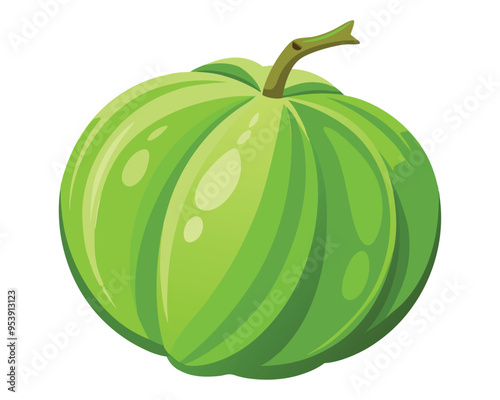 Chayote squash vector illustration isolated in white background 