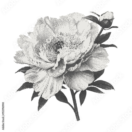  Vintage peony flower. Collage with a girly aesthetic. Retro bitmap scrapbooking style with cutout element. Trendy sticker for poster art or t-shirt with photocopy dotted effect.