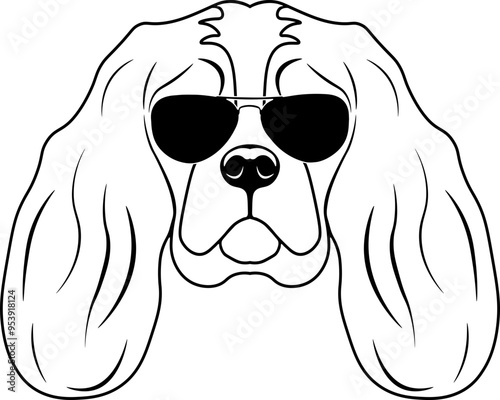 Cavalier King Charles Spaniel In Sunglasses