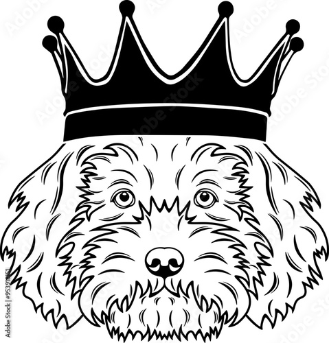 Cavapoo Cavoodle Wearing A Crown