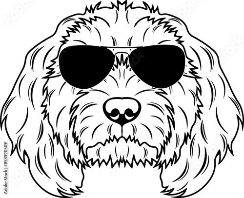 Cockapoo In Sunglasses