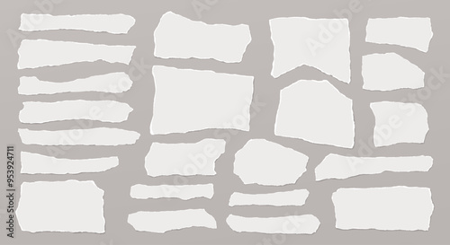 Set of torn white note paper pieces, strips are on grey background for text, notes or ad.