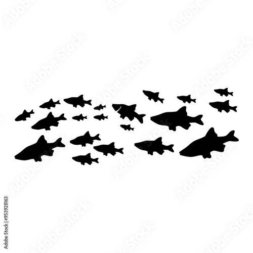 Silhouettes of groups of fishes on white. Vector